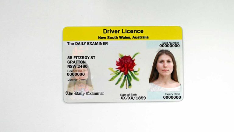 New south wales drivers licence